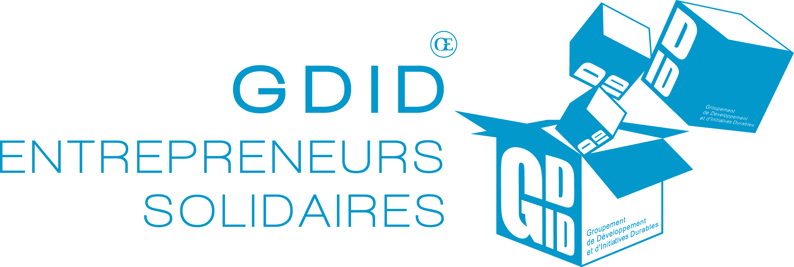 Logo GDID